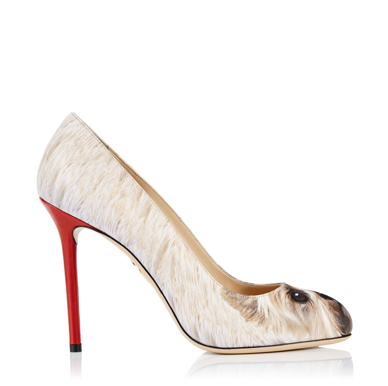 Charlotte Olympia 約克夏小狗圖印高跟鞋,22,800元。
